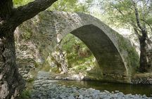 Grand Tour 4x4 Safari from Paphos