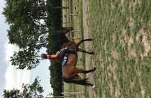 Riding course for all levels 1/2 day (3 hours)