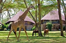 6-Day Amboseli NP, L Nakuru NP, Masai Mara Budget Safari