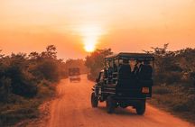 Sri Lanka budget tour package 8 days with driver,vehicle and H/B accommodations.