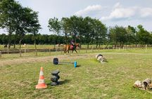 Riding course for all levels 1/2 day (3 hours)