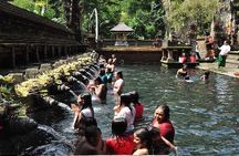 Private Tour: Tirta Empul, Tukad Cepung Waterfall & Penglipuran Village