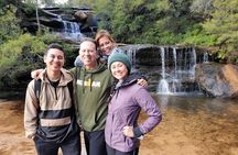 Late Start Blue Mountains Nature, Waterfalls, Koalas Small Group 