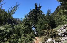 Fygou and Agia Irini Gorge Loop Half Day Hiking Tour
