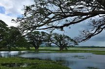 Yala Village Life Experience: Tuk-Tuk Tour, Local Crafts & Tea