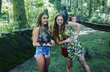 Bali Ubud Tour