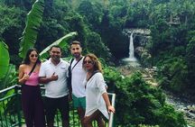 Bali Ubud Tour