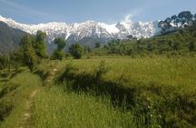 7 Days Dharamsala - Dalai Lama home Trek