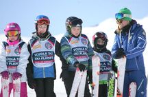 Lessons in Mini-Group - 2 hours a day - Skiing