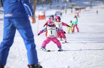 Lessons in Mini-Group - 2 hours a day - Skiing