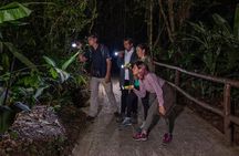Nocturnal Walk in the Hanging Bridges