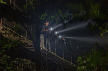 Nocturnal Walk in the Hanging Bridges