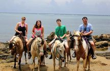 Horseback Riding & West Bay Beach