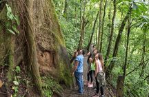  Suspension Bridges, Fortuna waterfall, Typical lunch
