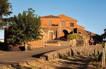 Etna DOC & Organic Wine tasting and tour of the 1815 historic winery
