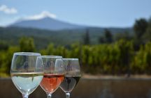 Etna DOC & Organic Wine tasting and tour of the 1815 historic winery