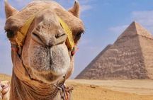 Private Tour to Pyramids & Old Cairo