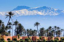 Casablanca to Marrakech Day Trip with Camel Ride