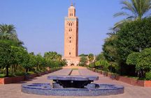 Casablanca to Marrakech Day Trip with Camel Ride