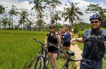 Bali Bike Ride Experience