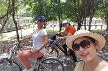 Lost in Bangkok : Green Lung Jungle Bicycle Ride with Lunch