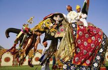 Exclusive 1-day Jaipur tour with High End SUV