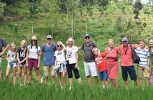 Tetebatu Walking Tour - Rice Terraces, Waterfall & Monkey Forest
