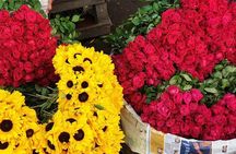 Capturing the City of Joy; Full Day Kolkata Street Photography Tour