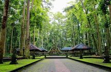 Taman Ayun Temple, Sangeh Monkey Forest, Swing included Transport & Lunch