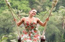 Taman Ayun Temple, Sangeh Monkey Forest, Swing included Transport & Lunch
