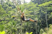 Taman Ayun Temple, Sangeh Monkey Forest, Swing included Transport & Lunch