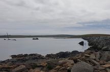 Orkney Travel Highlights Tour - 5-6 hours