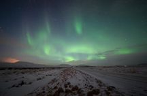 Northern Lights Small-Group Tour From Reykjavik with Hot Drink