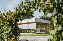Wine Tasting with Pairing Snacks in Vipava Valley