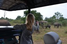 Private Half Day Tour: Udawalawe National Park with Elephant Transit Home Visit