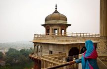 Taj Mahal Tour From Delhi All Including With Multiple Options