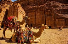 From Aqaba a Day Excursion to Petra 