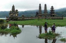 Private Jungle Trekking Tour with Tamblingan Lake Canoeing