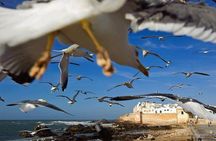 Essaouira Day Trip from Agadir