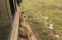 4-Day Serengeti, Ngorongoro,Tarangire safari 