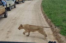 4-Day Serengeti, Ngorongoro,Tarangire safari 