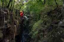 Canyon Half Day Tour