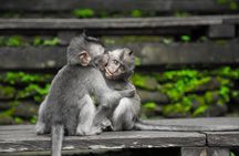 Utterly Ubud