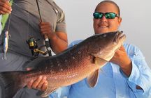 Private Charter -Inner Reef Trolling/Spin Casting + Island Stop