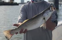 Half-Day Jetty Fishing Trip from Galveston