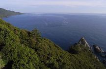Private Tour: Full-Day Walking Tour with Professional Local Guide in Yakushima Island
