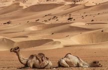 Wahiba Sands Tour with Wadi Bani Khalid tour (price per vehicle) 
