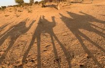 Overnight Camping With Camel Safari In Jodhpur