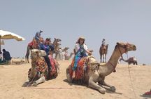 All inclusive Luxury tour: Pyramids, Sphinx, Felucca, Camel ride