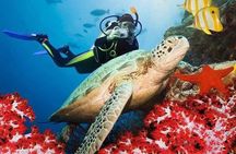 Sri Lanka sightseeing tours. 5-Night 6-Days (All Inclusive)